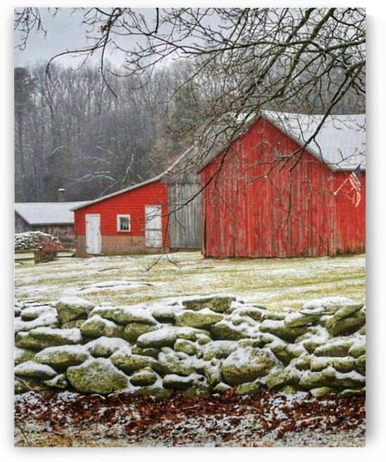 Rainy Day by Kevin Savage