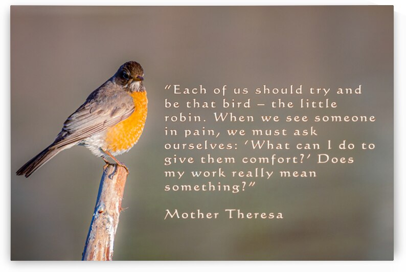 Be The Robin by Mike Lee