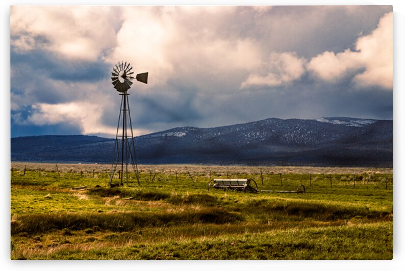 Spring Windmill - Madeline - Lassen County California by Mike Lee