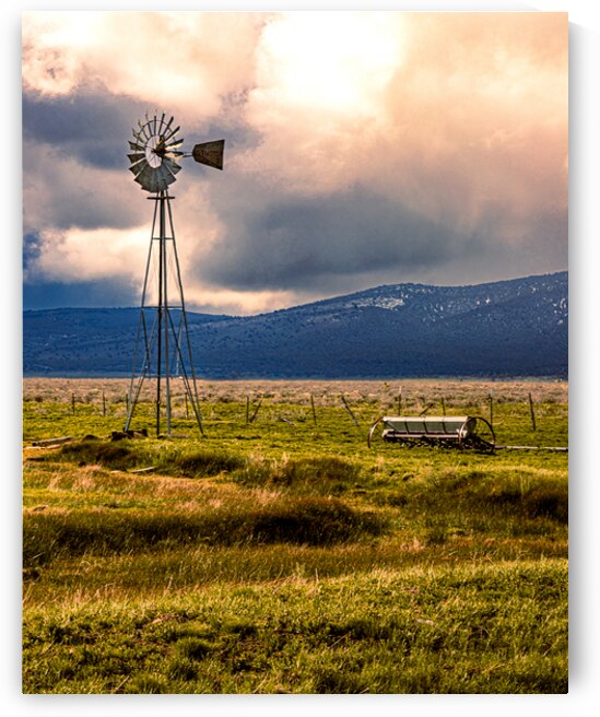 Spring Windmill - Vertical - Madeline - Lassen County California by Mike Lee