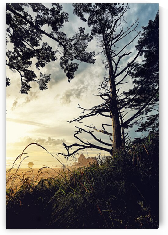 Pacific Serenity- Arcadia Beach Oregon by Corey Rudolph