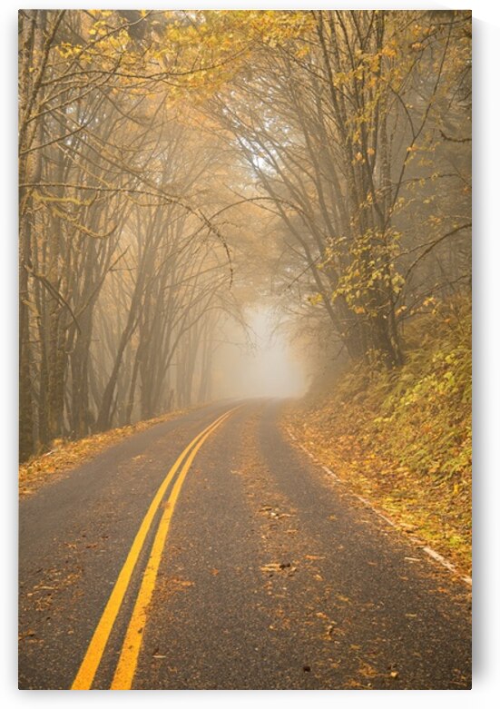 After the Storm – Autumn Road Art Print by Corey Rudolph