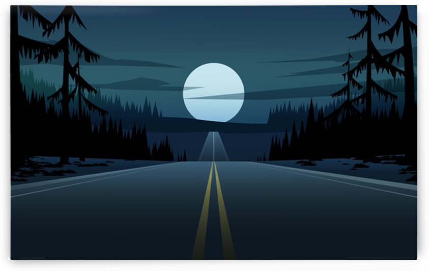 Moon night in forest by Towseef Dar