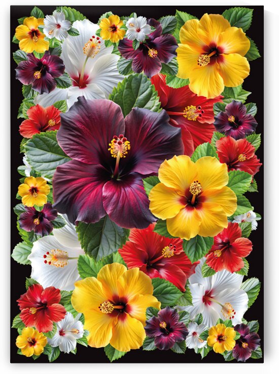 les fleures by bachourashop