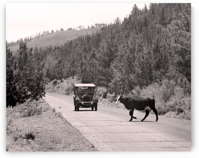 Ahooga - Modoc County California by Mike Lee