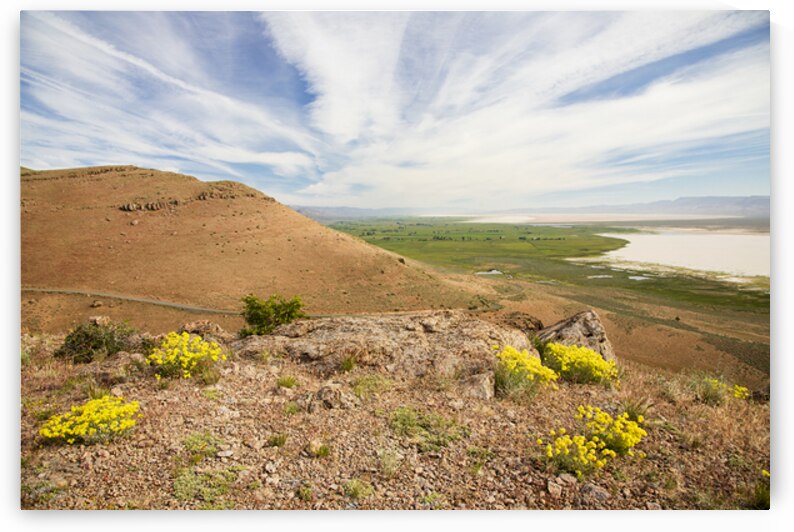 Surprise Valley Vista - Modoc County California by Mike Lee