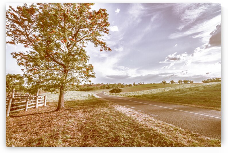 Acacia Avenue by Jorgo