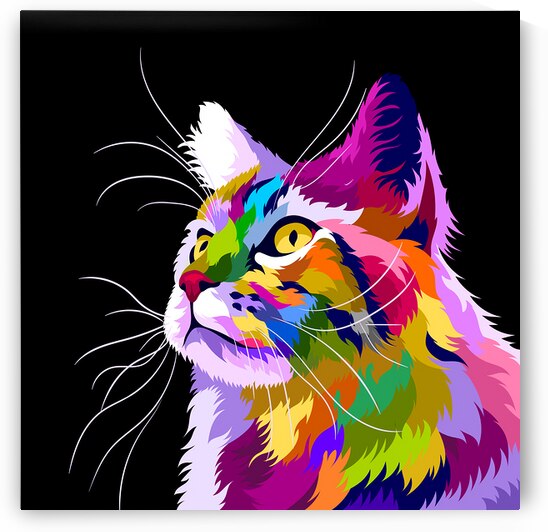 Pop art cat by Towseef Dar