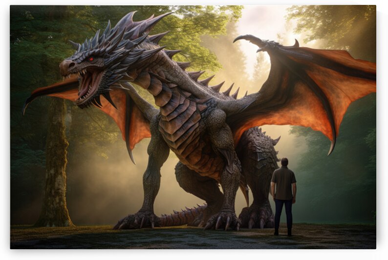 Man stands in front of dragon by Towseef Dar