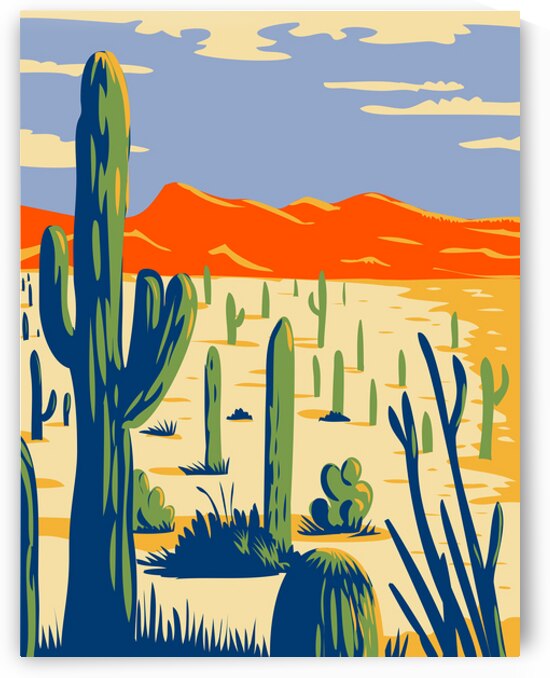 Saguaro National Park  by Towseef Dar
