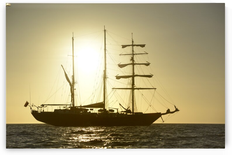 KO EC 8925 by Kevin Oke