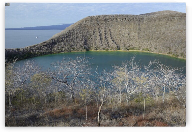 KO EC 11387 by Kevin Oke