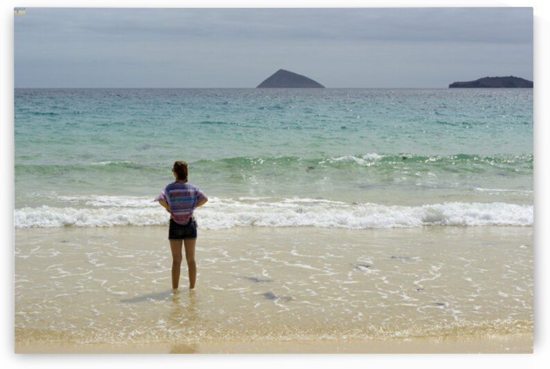 Looking out to sea at Punta Cormorant Floreana Island Galapagos Islands Ecuador by Kevin Oke