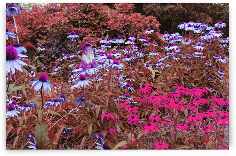 9019 - Sam au pays des merveilles by Lucie Gonella