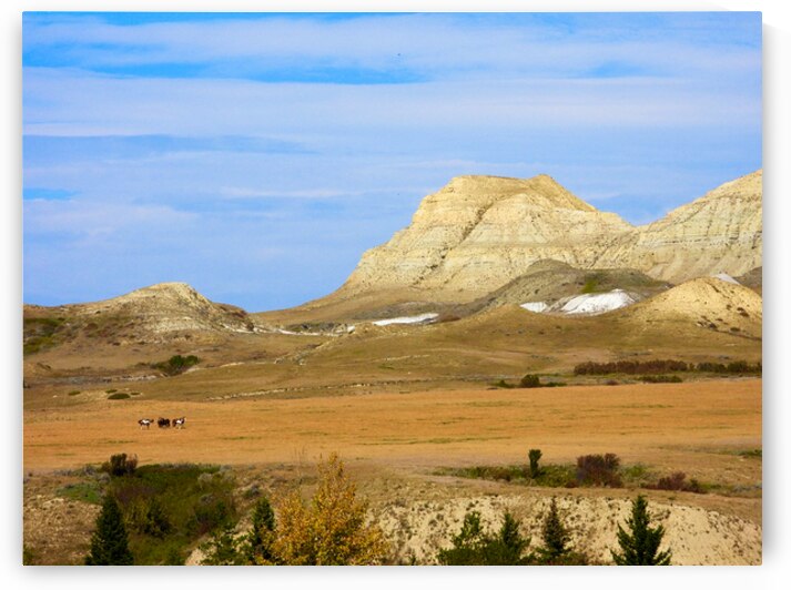 Prairie Echoes by Nicola McGuire