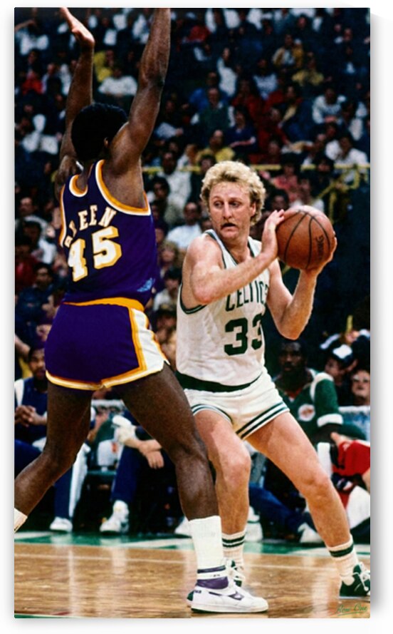 Bird Looks to Pass by Row One Brand