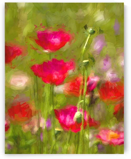 Red California Poppies X100 1 by Rich Franco