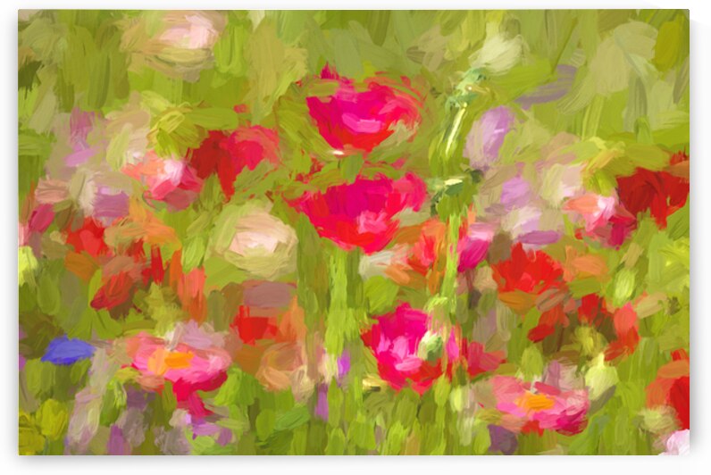 Red California Poppies X100 2 by Rich Franco