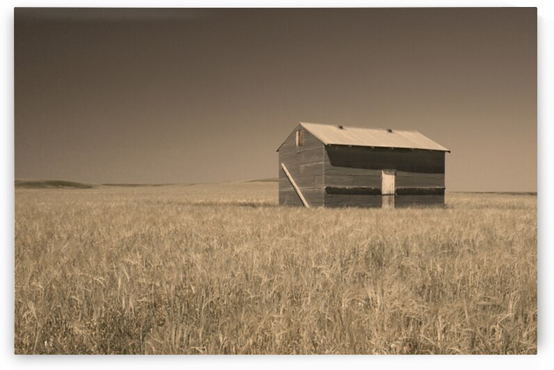 Old Barn at Choteau Montana X100 1 by Rich Franco