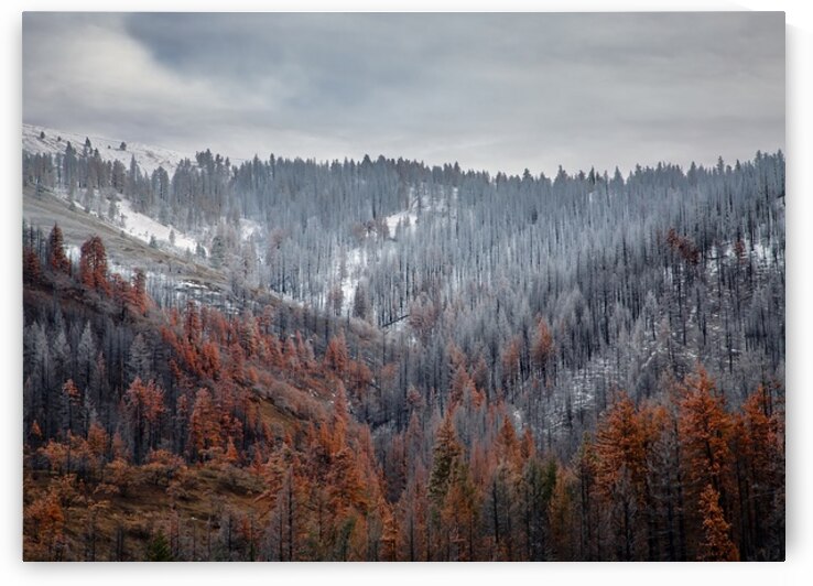 Burnt Valley – Western Art Print by Corey Rudolph