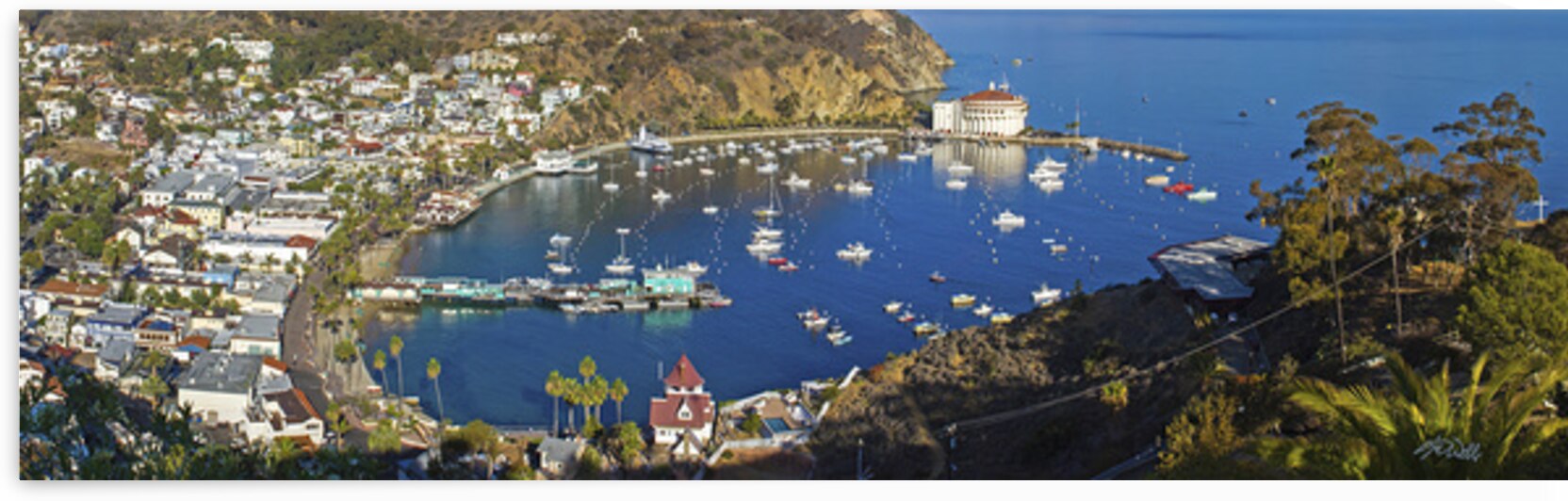 Catalina Island by Sid Webb