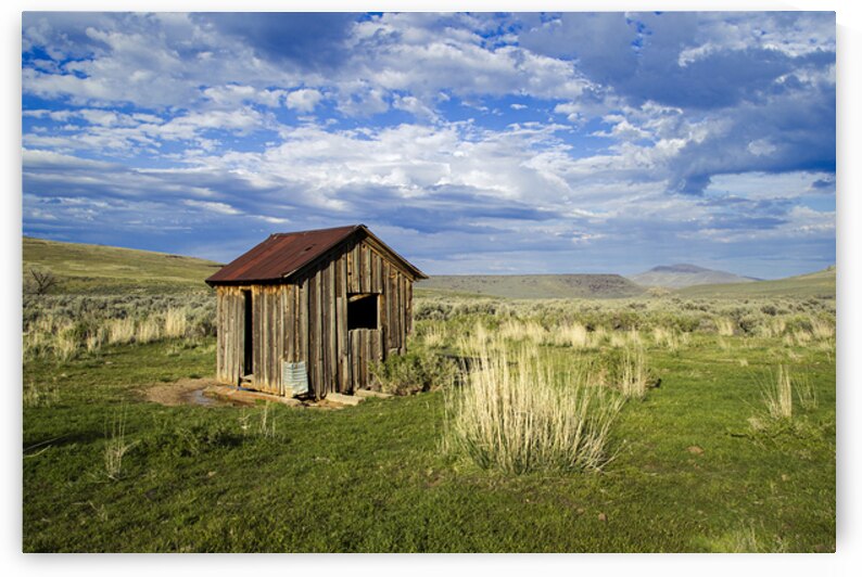 The Shack - Color - Smoke Creek Area - Lassen County California by Mike Lee