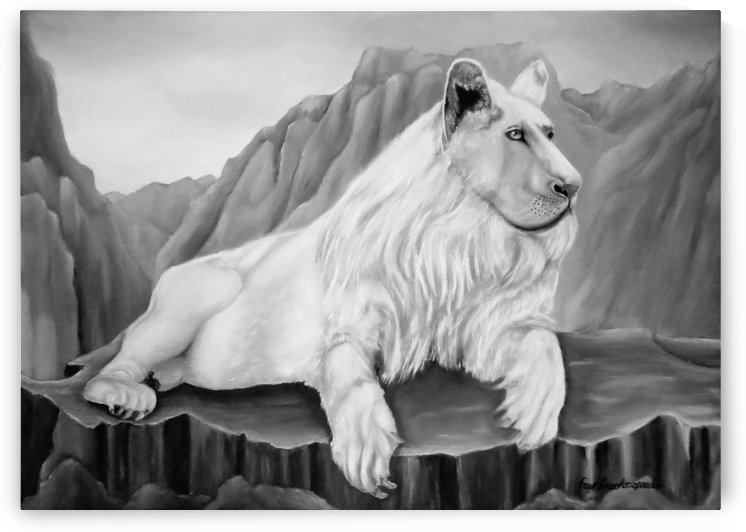 Resting White Lion by Faye Anastasopoulou