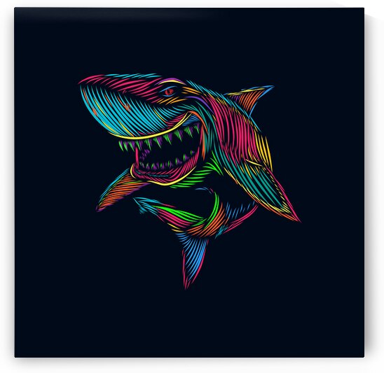 Colorful shark by Towseef Dar