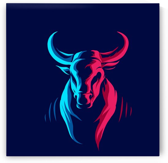 Colorful Ox by Towseef Dar