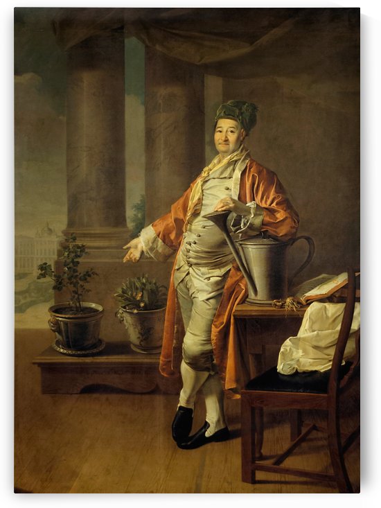 Portrait of Procope Demidov by Dmitry Levitzky