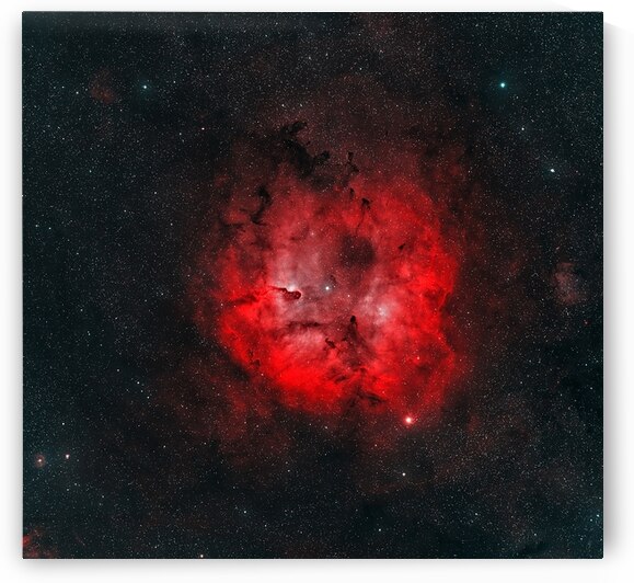 Elephant’s Trunk Nebula by Astronight Astrophotography by John Buonomo