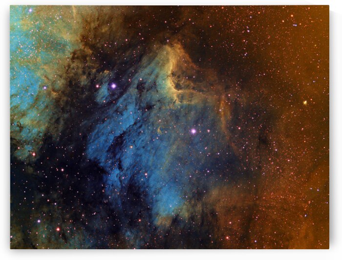 IC 5070 — The Pelican Nebula by Astronight Astrophotography by John Buonomo
