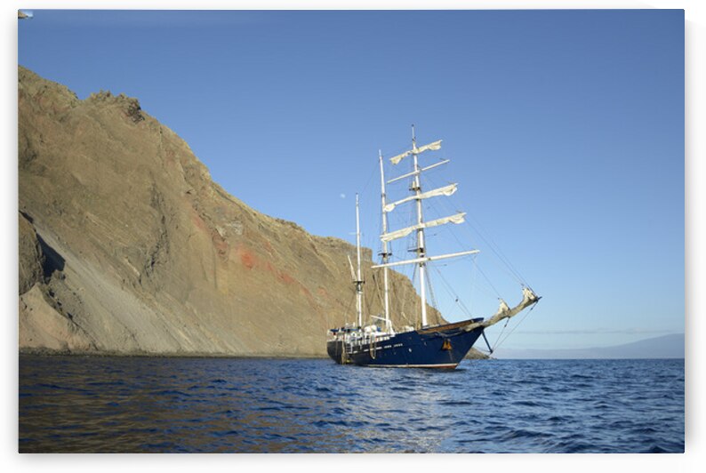 KO EC 12258 by Kevin Oke