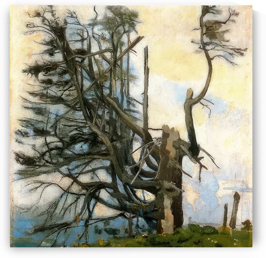 Art by Ferdinand Hodler  22 by AmericanPainters