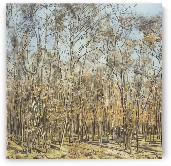 Art by Ferdinand Hodler  50 by AmericanPainters