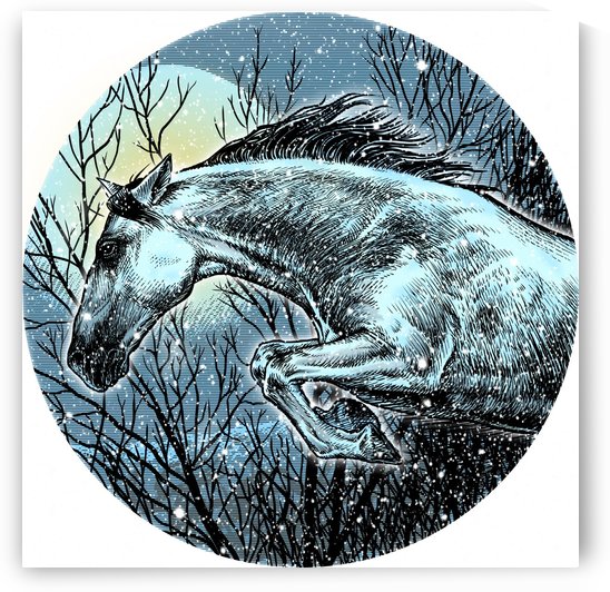 andalusian by Guy Parsons