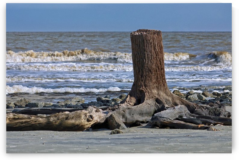 Driftwood Beach Post by Bill Swartwout Photography