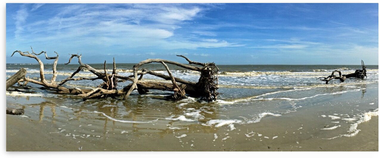 Driftwood Beach Panorama 103 by Bill Swartwout Photography