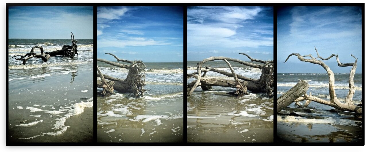 Driftwood Beach Panorama Quadtych by Bill Swartwout Photography