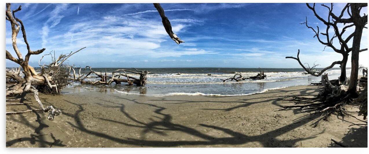 Driftwood Beach Panorama Shadows by Bill Swartwout Photography