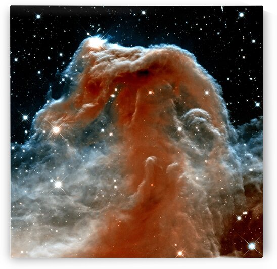Horsehead Nebula In Space by Bill Swartwout Photography