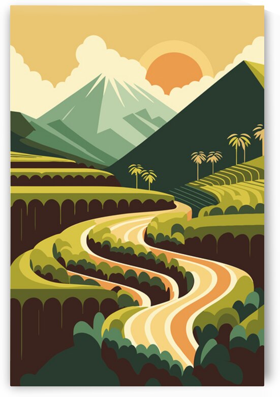 Rice Terraces by Towseef Dar