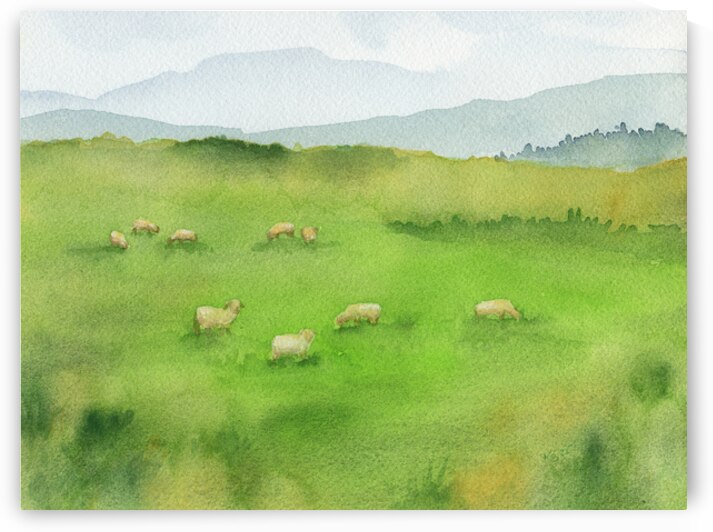 Sheep Grazing in Green Field by Karen Kaspar