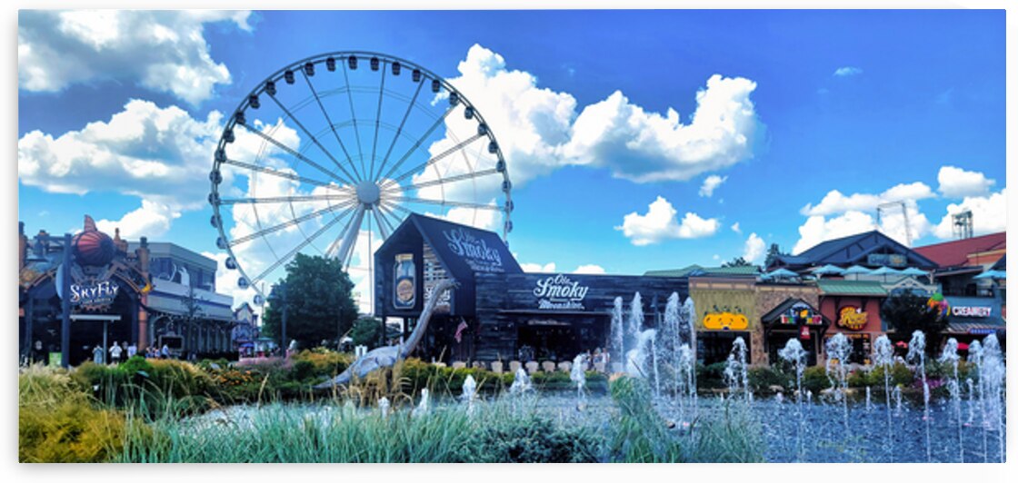 Where the Island Comes Alive by Shelia Hunt Photography