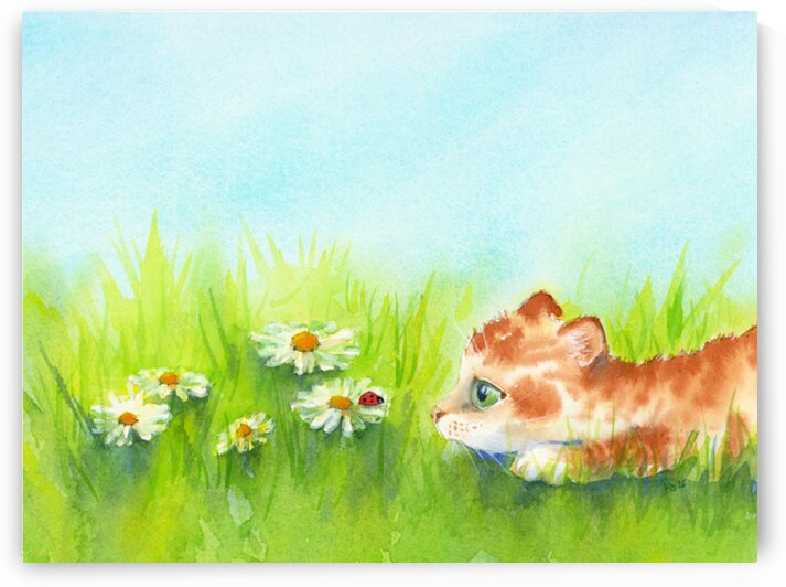 Curious kitten and ladybird on a daisy by Karen Kaspar