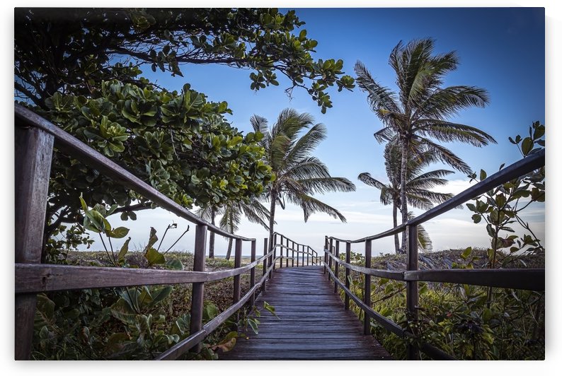 Going to the beach by Carol Assis