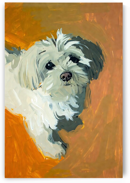 Expressive White Maltese Shih Tzu Dog Portrait by Chris Butler