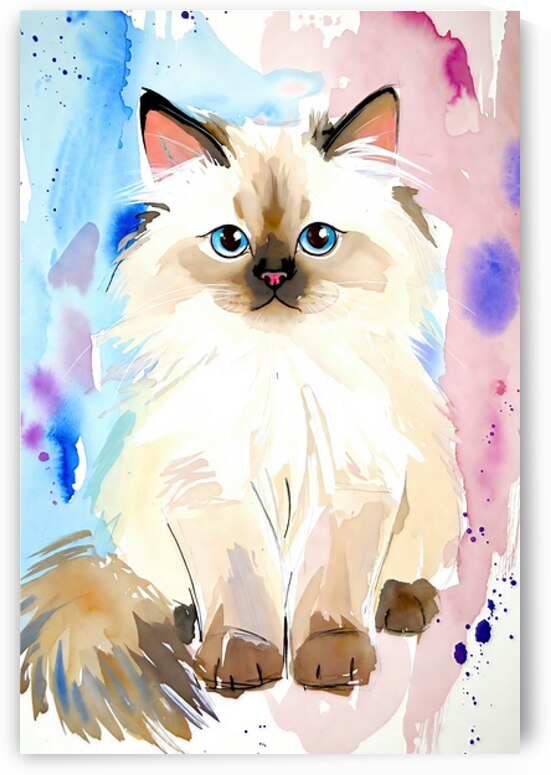 Adorable Watercolor Ragdoll Cat Portrait Illustration by Chris Butler