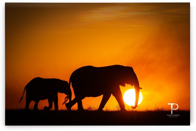 Carrying the Sun by Thierry Prieur Photographie