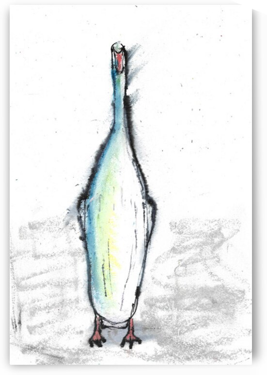 Swan by Robert Burton